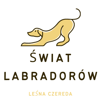 Świat Labradorów